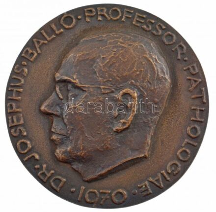 DN 'DR, JOSEPHUS BALLÓ PROFESSOR PATHOLOGIAE' egyoldalas, öntött bronz plakett (77mm) T:1-