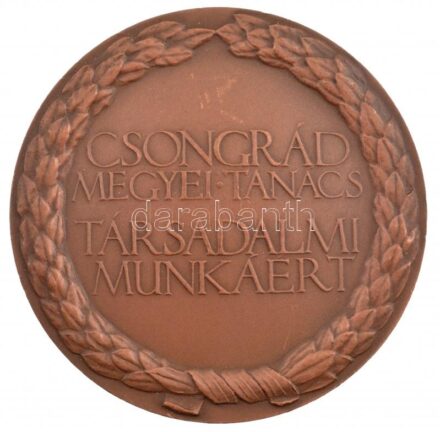 DN 'Csongrád Megyei Tanács Társadalmi Munkáért' kétoldalas bronz emlékérem (70mm) T:1-