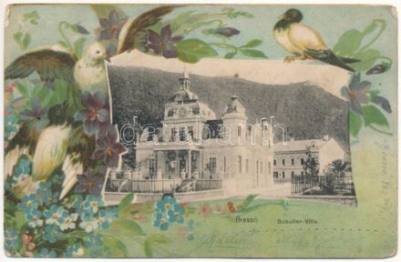 1902 Brassó, Kronstadt, Brasov; Schuller villa. Szecessziós virágos keret madarakkal / villa. Art Nouveau, floral, litho frame with birds (lyukak / pinholes)