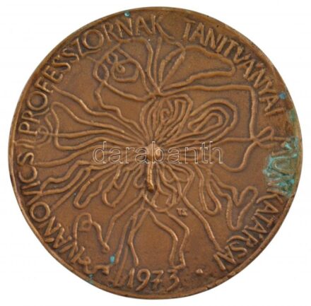 Tóth Sándor (1933- ) 1973. 'Ivánovics professzornak tanítványai munkatársai' egyoldalas, öntött bronz emlékérem (113mm) T:2 patina