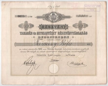 Debrecen 1895. 'Takarék-és Hitelintézet Részvénytársaság' 200 koronáról szóló részvénye szelvényekkel, szárazpecséttel, bélyegzésekkel T:III kis szakadások