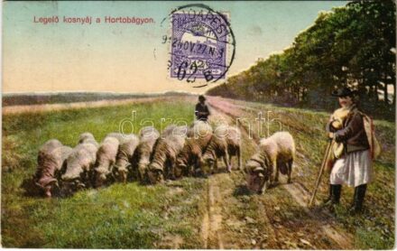 1912 Hortobágy, legelő kosnyáj, magyar folklór. TCV card (EK)