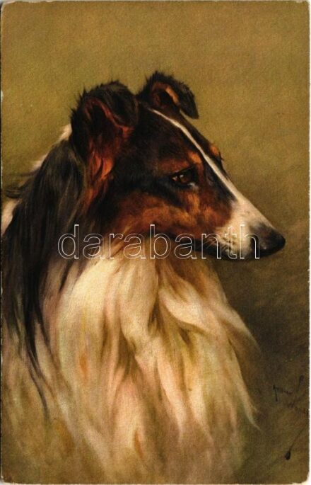 Dog art postcard
