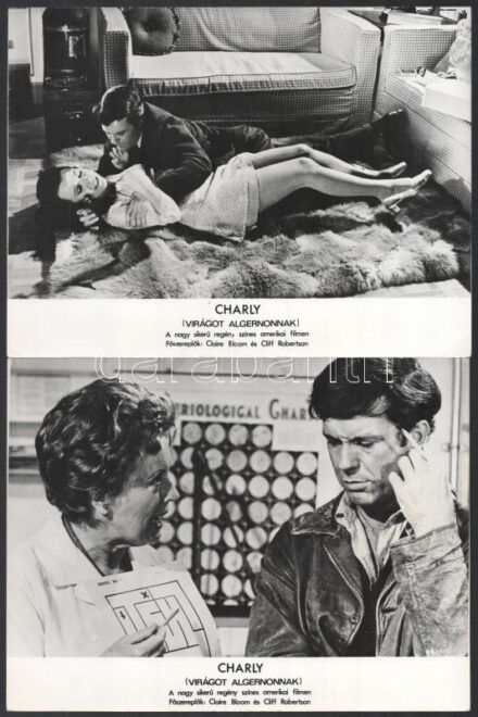 cca 1968 ,,Charly - virágot Algernonnak' című amerikai film jelenetei és szereplői, 9 db vintage produkciós filmfotó, ezüst zselatinos fotópapíron, 18x24 cm