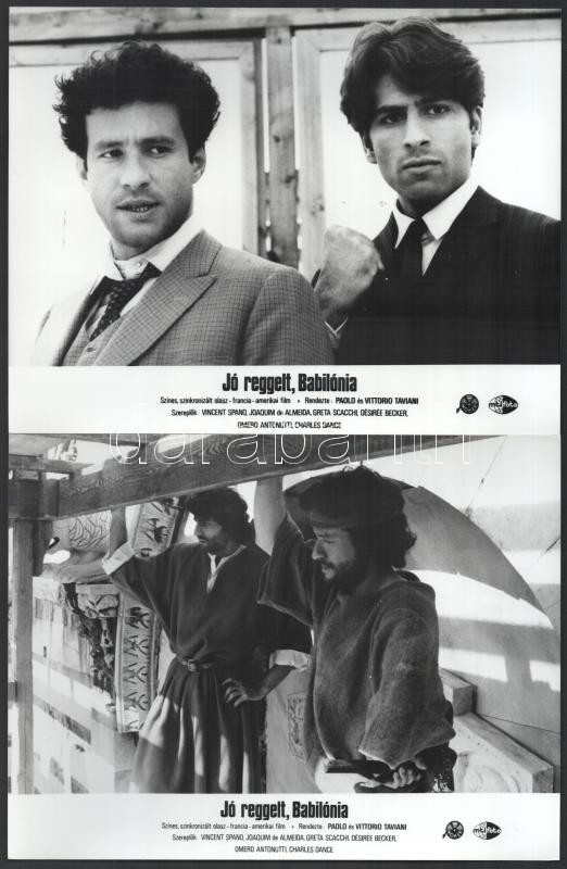 1987 ,,Jó reggelt, Babilónia' című olasz - francia - amerikai film jelenetei és szereplői, 9 db vintage produkciós filmfotó, ezüst zselatinos fotópapíron, 18x24 cm - Image 4