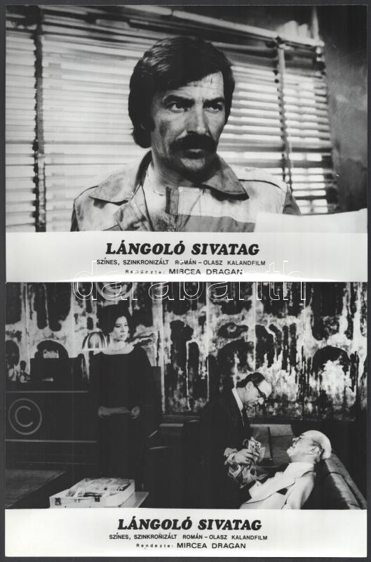 1976 ,,Lángoló sivatag' című román - olasz film jelenetei és szereplői, 9 db vintage produkciós filmfotó, ezüst zselatinos fotópapíron, 18x24 cm - Image 3