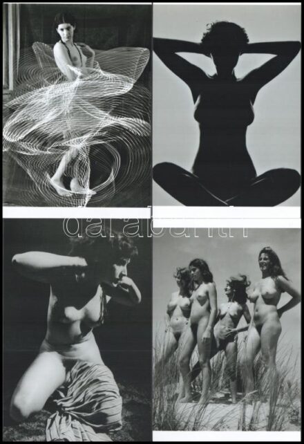 Akik szeretik, ha fényképezik őket ruha nélkül, szolidan erotikus felvételek több aktfotós hagyatékából vagy gyűjteményéből, 4 db mai nagyítás, 15x10 cm