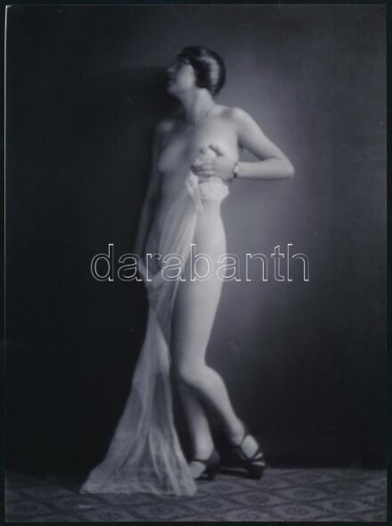 cca 1927 Demeter Károly budapesti fényképész és fotóművész hagyatékából 1 db mai nagyítás (műtermi akt) + hozzáadva 1 db oklevél másolatot (fotópapíron) 1927-ből, a II. Nemzetközi Művészi Fényképkiállításról, 24x17,7 cm