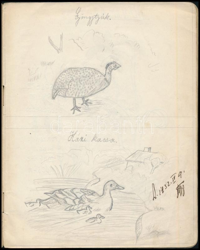 cca 1930 Irredenta rajzgyakorlati füzet, rajzokkal, 20,5x16,5 cm - Image 2