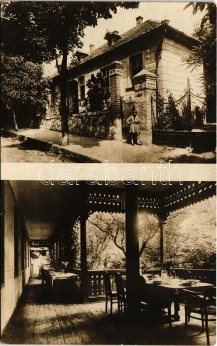 1933 Budakeszi, Dr. Gosztonyi Vilmos magángyógyintézete, üdülőtelep, röntgen, quarz. Erdő utca 8. (EK)
