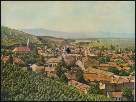 Tokaji látkép, Colorvox hanglemez képeslap, 20x15 cm