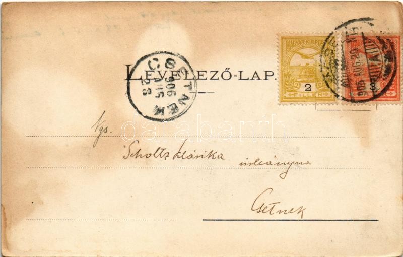 1906 Lőcse, Levoca; Kossuth utca, Megyeháza. Braun Fülöp kiadása / street view, county hall (fl) - Image 2