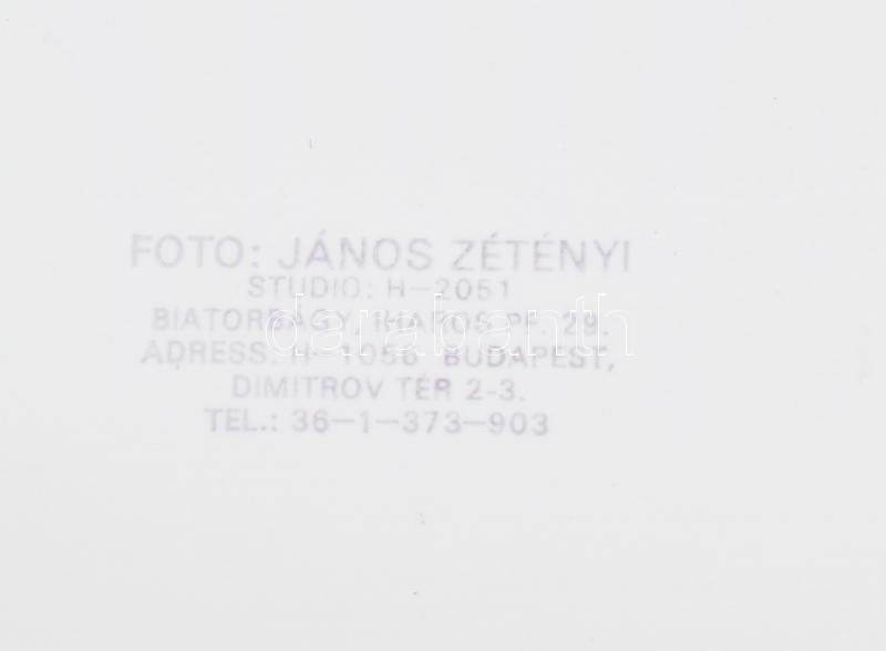 Szolidan erotikus nagyméretű divatfotó, hátoldalán fotó János Zétényi pecséttel, 50x27cm - Image 2