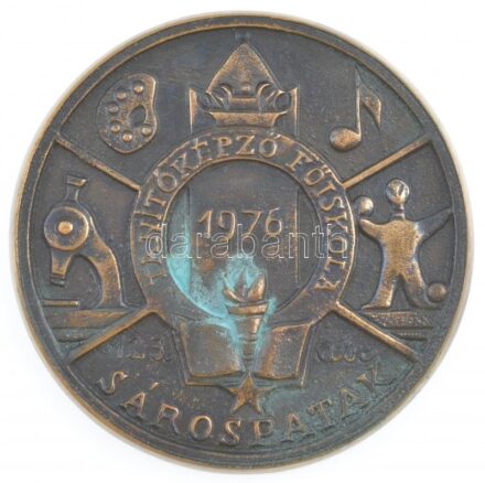 1976. 'Tanítóképző Főiskola Sárospatak' egyoldalas, öntött bronz plakett, eredeti tokban (111mm) T:1- patina