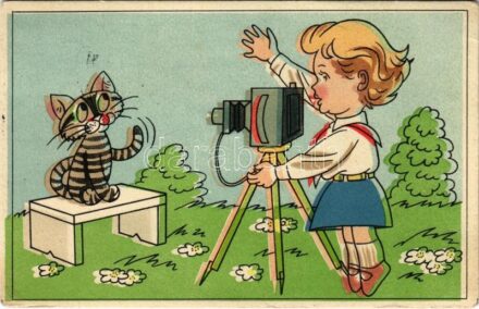 Macskát fotózó kislány. Művészeti Alkotások / Girl photographing a cat, humour (EK)