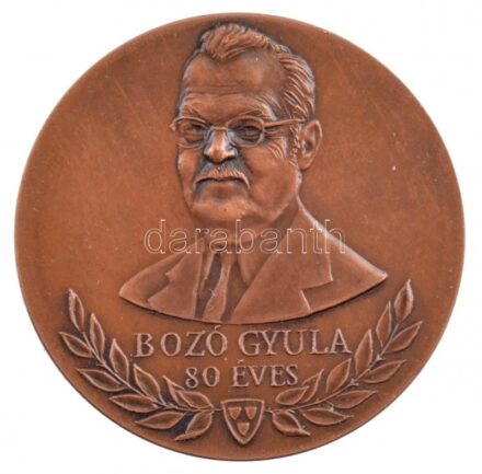 1993. 'Bozó Gyula 80 éves / Egyedül Istenben s nem az szerentsében reménye fejemnek - Erdőkövesdi Bozó család 1685' kétoldalas bronz emlékérem (42,5mm) T:1