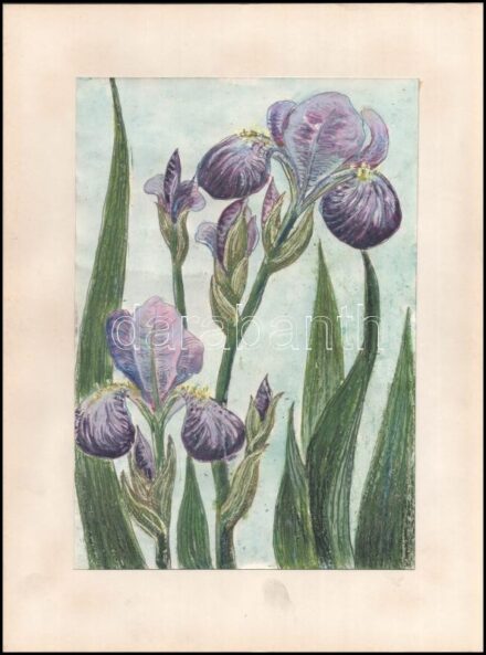 Jelzés nélkül: Íriszek. Vegyes technika, papír. sérülésekkel. 30x21 cm