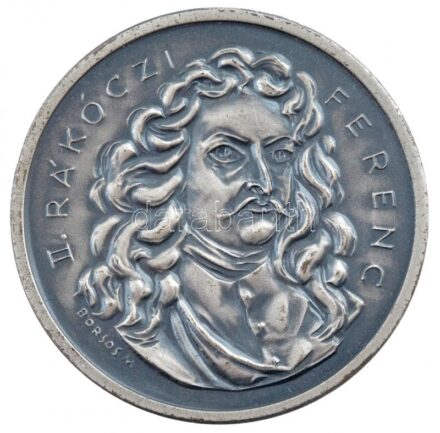 Borsos Miklós (1906-1990) 1981. 'Sárospataki iskola / II. Rákóczi Ferenc' ezüstpatinázott fém emlékérem (40mm) T:1-