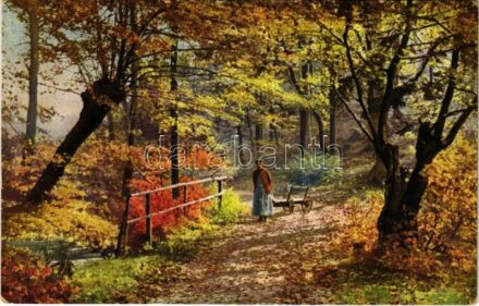 1922 Landscape art postcard. Photochromie Serie 312. Nr. 4719. (EK)