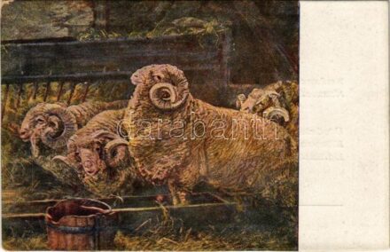Kosok a vályúnál. Budapesti Nemzetközi Vásár. Üdvözlet a Könyves Kálmán kiállításáról / Hungarian folklore art postcard s: Pállik (EK)