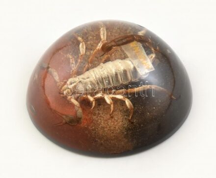 Skorpiós levélnehezék, plexi, d: 10 cm