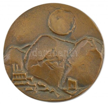 DN 'Pásztó Fejlesztéséért' kétoldalas Br plakett (105mm) T:2 patina