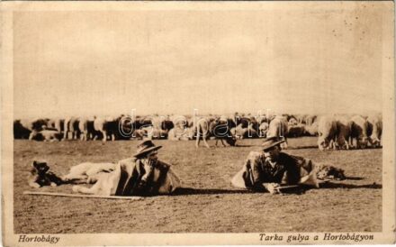 Hortobágy, Tarka gulya (EK)