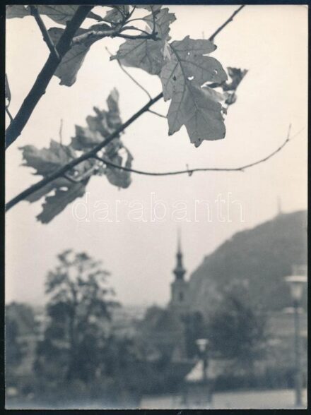cca 1970 Budapesti ősz, jelzetlen fotó, 24×18 cm