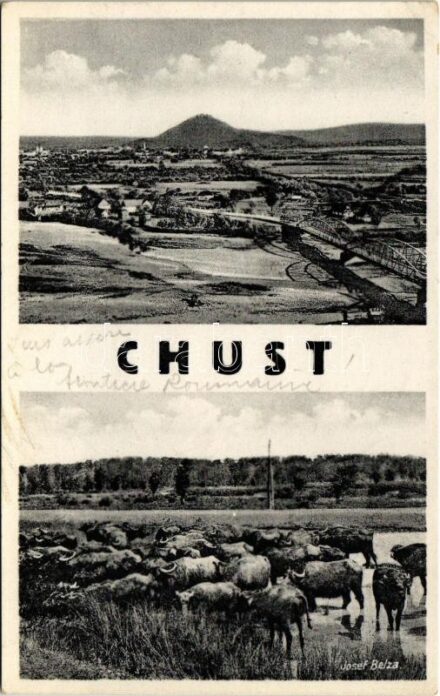 1939 Huszt, Chust, Khust; híd, legelő bivaly csorda. Josef Belza / bridge, water buffalos