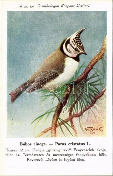 Búbos cinege. A m. kir. Ornitológiai Központ kliséivel. Magyar Földrajzi Intézet rt. kiadása. Székesfővárosi állatkerti sorozat 2. sz. / Parus cristatus L. Hungarian birds series. s: Vezényi (gyűrődés / crease)