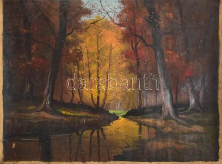 Jelzés nélkül: Erdőbelső. Olaj, vászon. Feltekerve, 60×80 cm