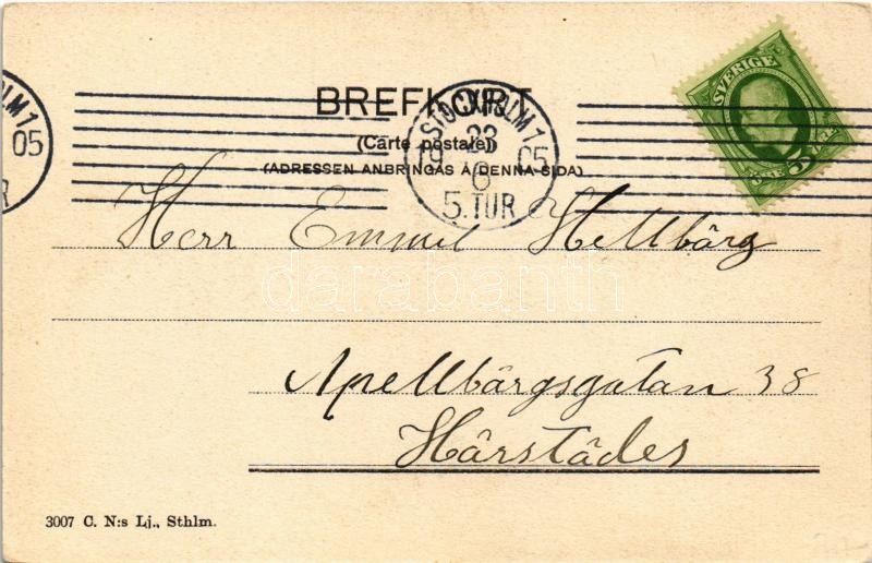 1905 Stockholm, Pultavamonumentet pa Artillerigarden / Poltava Monument - Image 2