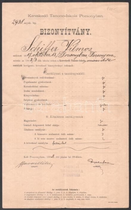 1903 Pozsony, kereskedőtanonc bizonyítvány