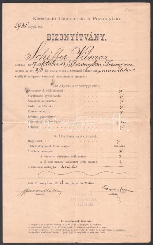 1903 Pozsony, kereskedőtanonc bizonyítvány
