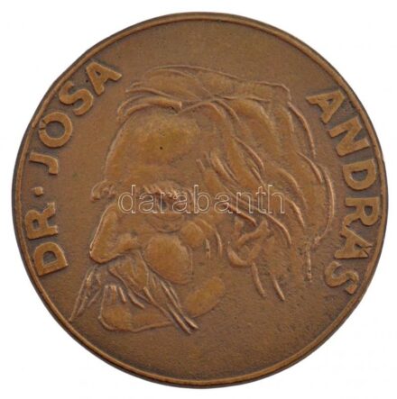 DN 'Dr. Jósa András' egyoldalas Br emlékplakett (60mm) T:2 patina, a hátoldalon ragasztónyom