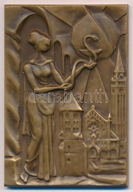 Képíró Zoltán (1944-1981) DN 'UNIVERSITAS SCIENTIARUM MEDICINAE SZEGED' kétoldalas Br plakett (80x55mm) T:2 kis patina, ph