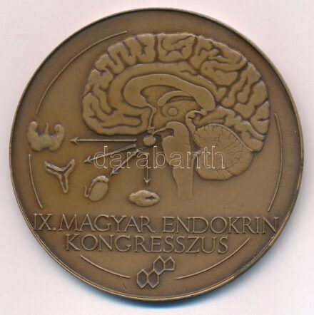 Lapis András (1942-) 1979. 'IX. Magyar Endokrin Kongresszus / Szeged' kétoldalas Br emlékérem (69mm) T:1- kis patina, ph