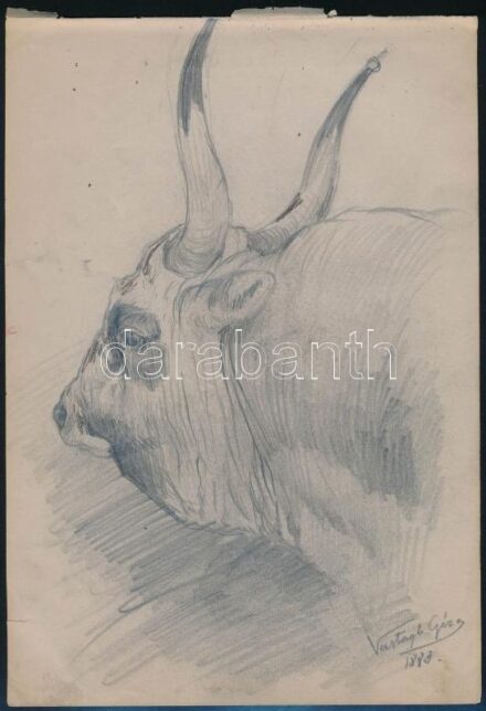Vastagh Géza (1866-1919): Magyar szürkemarha, 1885. Ceruza, papír. Jelezve jobbra lent. Proveniencia: Vastagh Géza hagyatéka. Lapszéli szakadással. 28x19,5 cm/ Géza Vastagh (1866-1919): Hungarian grey cattle, 1885. Pencil on paper, signed