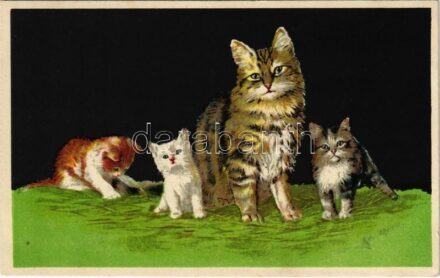 Cats. G.O.M. 3204. litho
