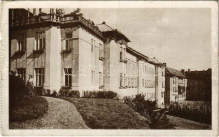 Kolozsvár, Cluj; Marianum. Joánovics Testv. cs. és kir. udvari fényképészek / boarding school (fa)
