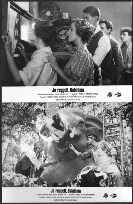 1987 ,,Jó reggelt Babilónia' című olasz - francia - amerikai film jelenetei és szereplői, 9 db vintage produkciós filmfotó, ezüst zselatinos fotópapíron, kisebb - a használatból eredő - hibákkal,18x24 cm