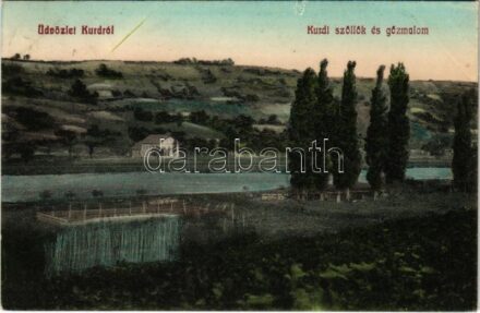 1912 Kurd (Tolna), Kurdi szőlők és gőzmalom (kis szakadás / small tear)