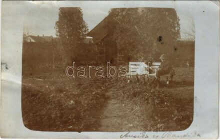 1916 Szekszárd, ház kertje. photo (EK)