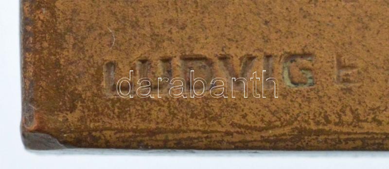 Holló Barnabás (1865-1917) DN 'Báró Wesselényi Miklós emlékverseny - Balatoni távúszás' Br emlékplakett, hátoldalán 'LUDVIG' gyártói jelzéssel (49x68,5mm) T:1- Hungary ND 'Baron Miklós Wesselényi Commemorative Race - Long - Image 2