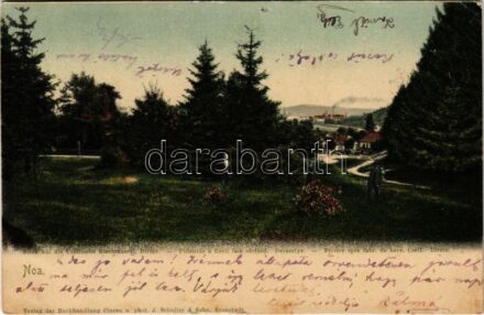 1905 Brassó, Kronstadt, Brasov; Noa. Blick auf die Czellische Bierbrauerei Dirste / Pillantás a Czell-féle sörfőzde felé (Derestye) / Privire spre fabr. de bere Czell / view with brewery (lyuk / pinhole)