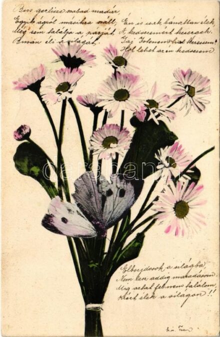 1905 Flowers. Schles. Lichtdr.-Anst. Breslau II. (Tivoli) No. 57. (fl)