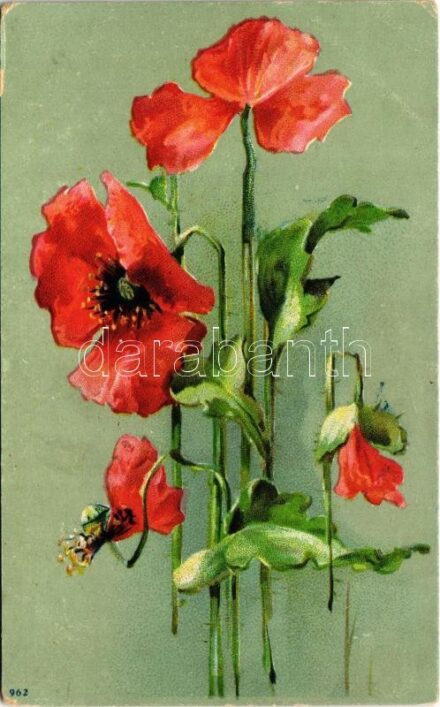 Flowers + 'Ferencvárosi függetlenségi és 48-as pártkör (ezelőtt ferencvárosi független polgárok köre)' (kopott sarkak / worn corners)