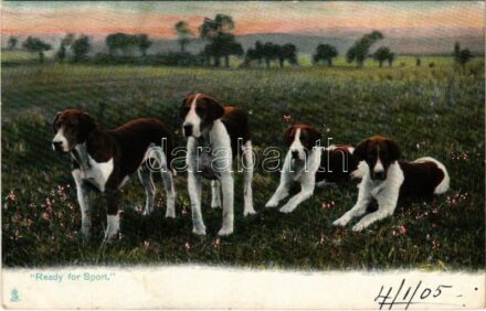 1905 'Ready for Sport' Raphael Tuck & Sons' 'Animal Life' Series 1425. (EB)