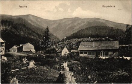 Koritnyica, Korytnica; Prasiva-völgy, étterem. Gutkaiss kiadása / valley, restaurant