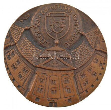 DN 'Békéscsabai Evangélikus Gimnázium' egyoldalas Br plakett (100mm) T:1- kis patina